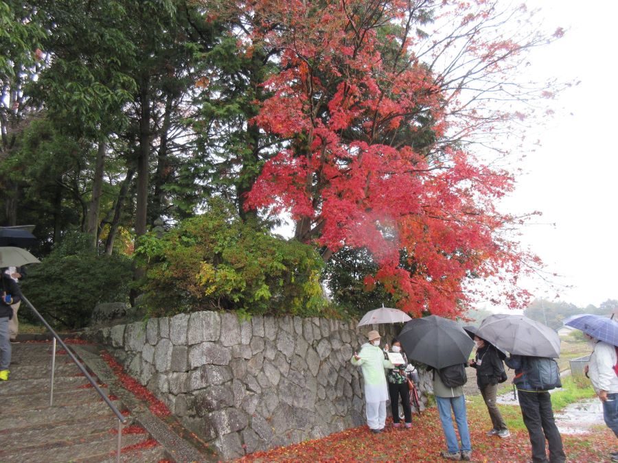 【歴史にも触れながら】