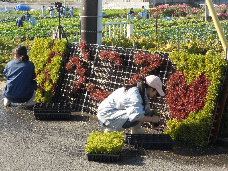 花でおもてなしの準備