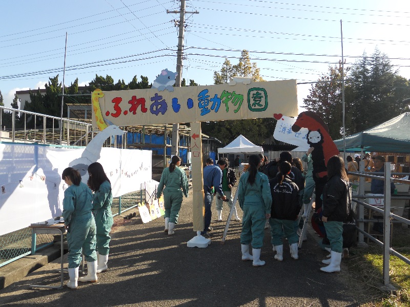 開門直前の飾り付け
