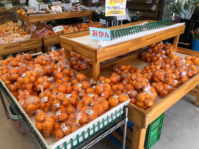 売場の様子(みかん)