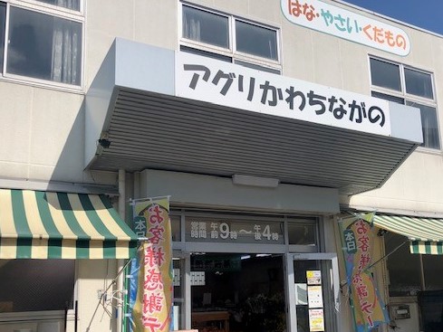 今日も元気よく営業中