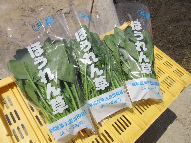 包装済みホウレンソウ