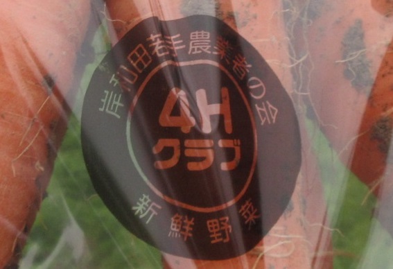 人参パッケージ4Hロゴ付き