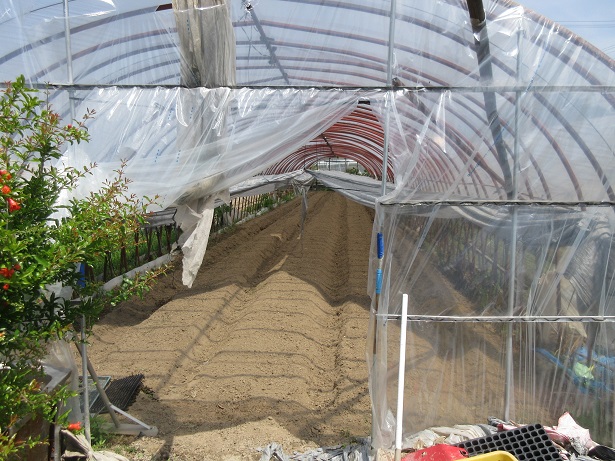 ビニールハウス