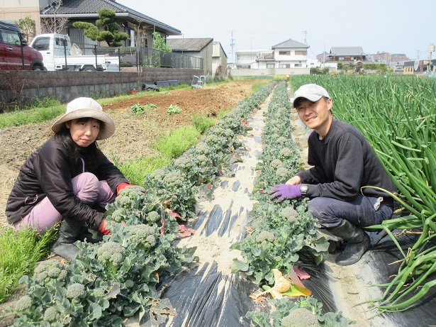 辻夫妻収穫