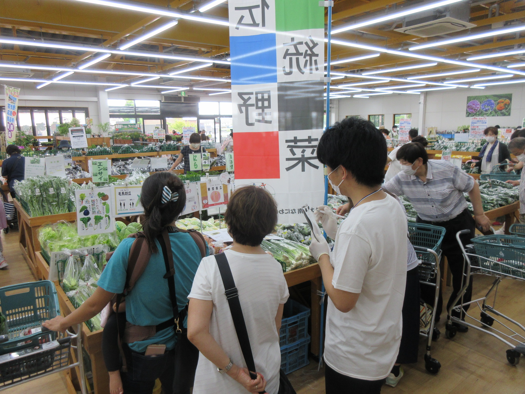 伝統野菜を見るお客さん