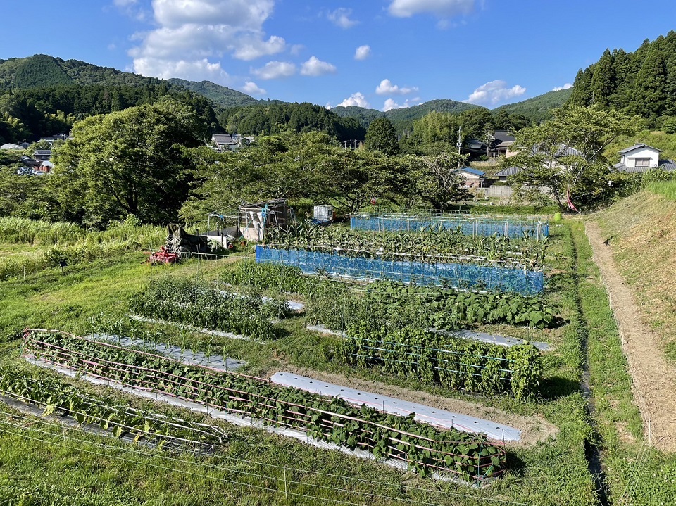 農場