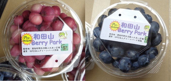 直売されているパック詰めのブルーベリー２種類