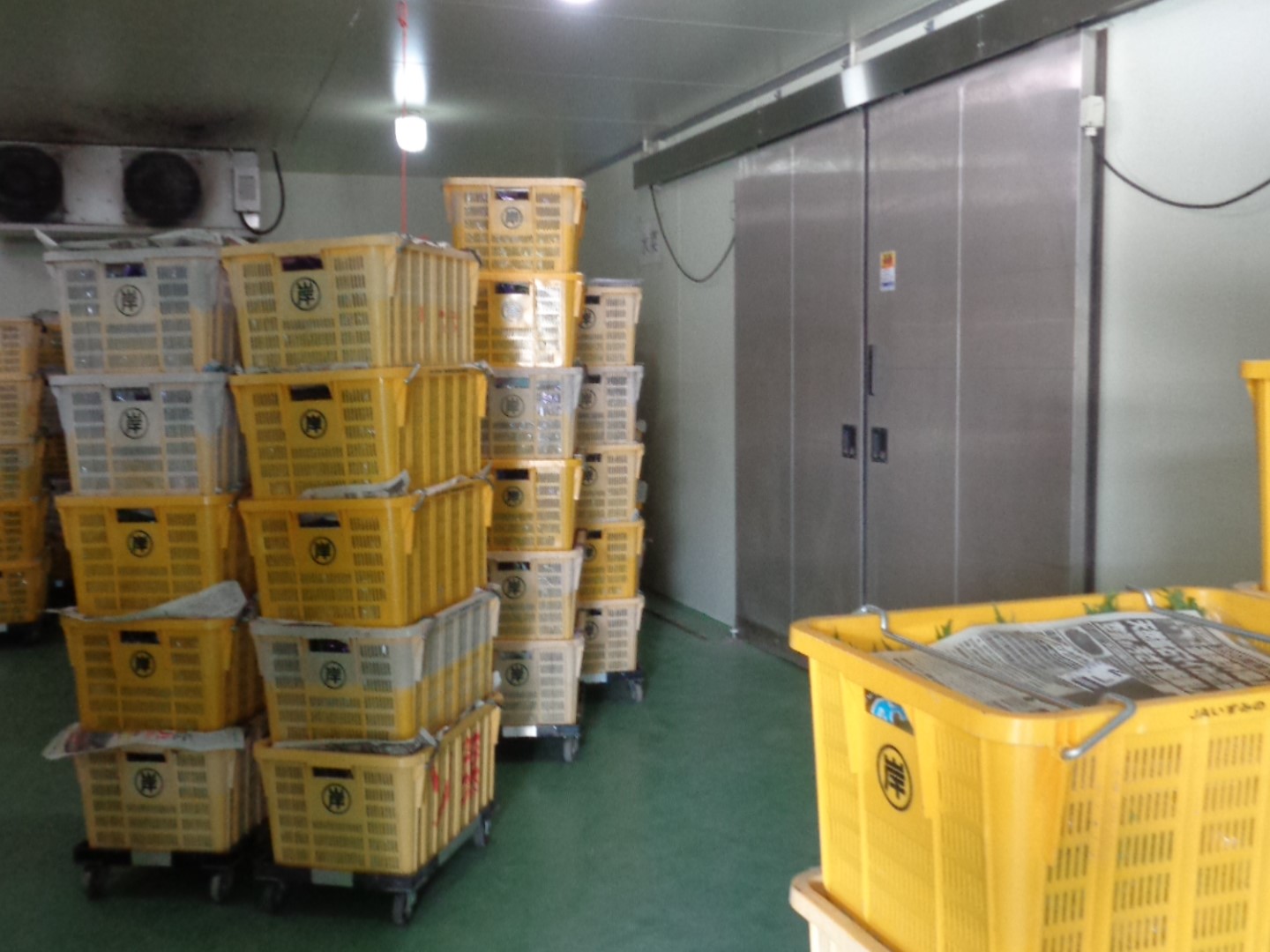 集荷場に集まったしゅんぎくのコンテナ