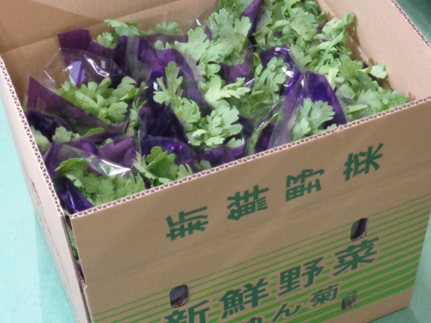 箱詰めされたいよいよ出荷の春菊