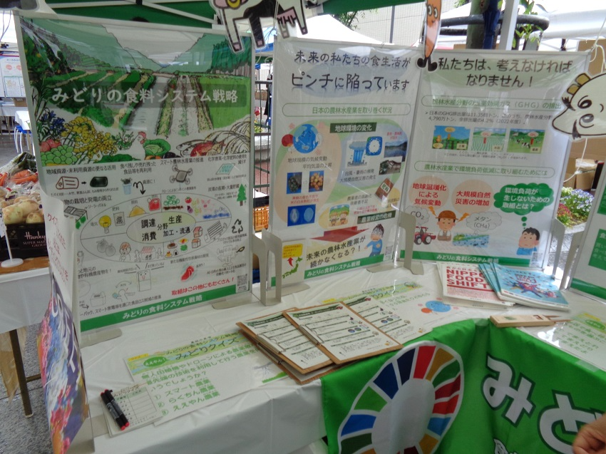 展示されたパネルとクイズ用紙