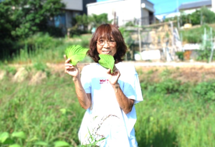 えごまを手に畑の中に立つ浦上さん