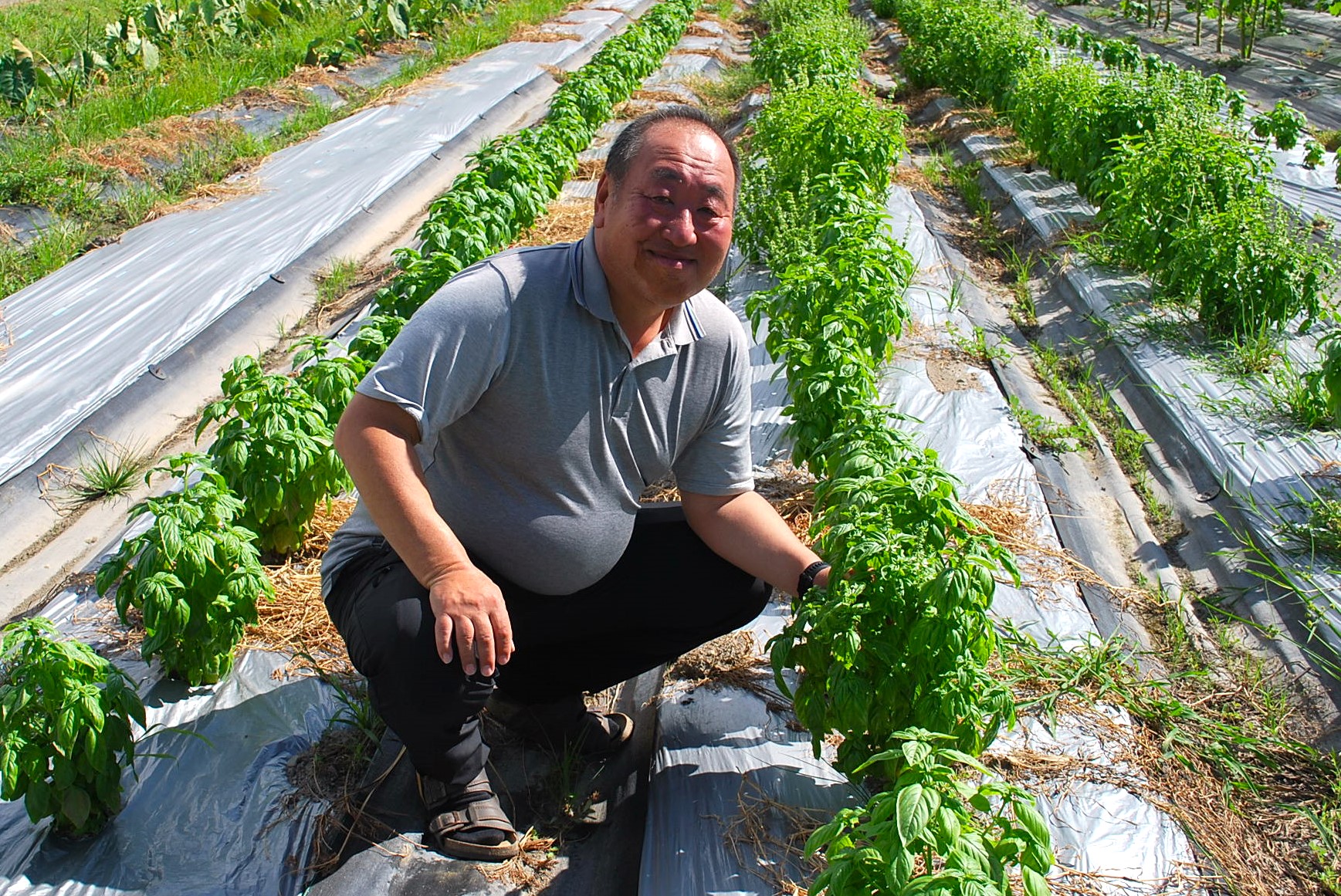 basil.sc代表の大村さん