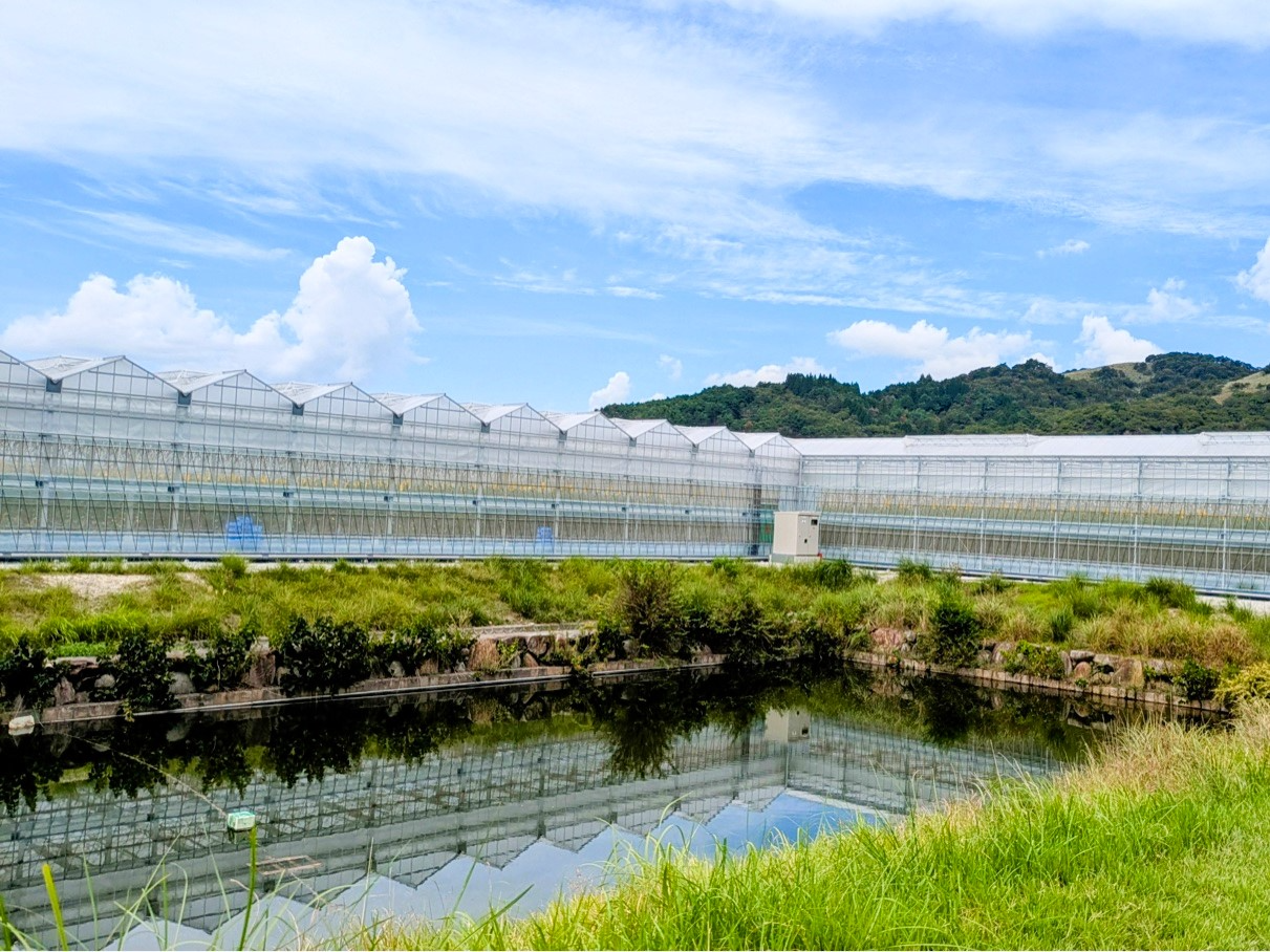 ゼブラファーム能勢天王外観