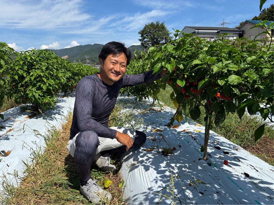 キャロライナリーパー畑にいる末延さん