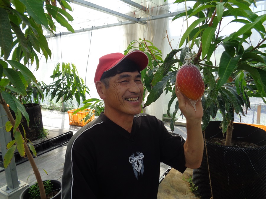 大きく実ったマンゴーを手に笑顔の小川さん