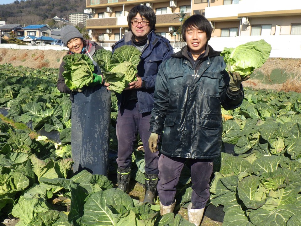 キャベツ畑でキャベツを手に記念撮影