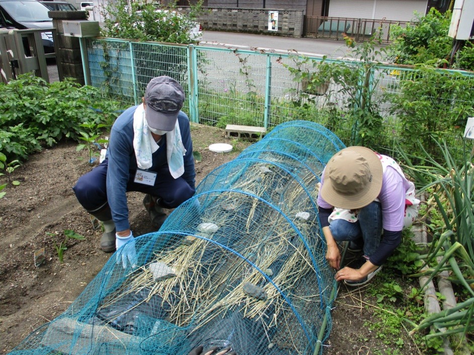 地域での活動の様子