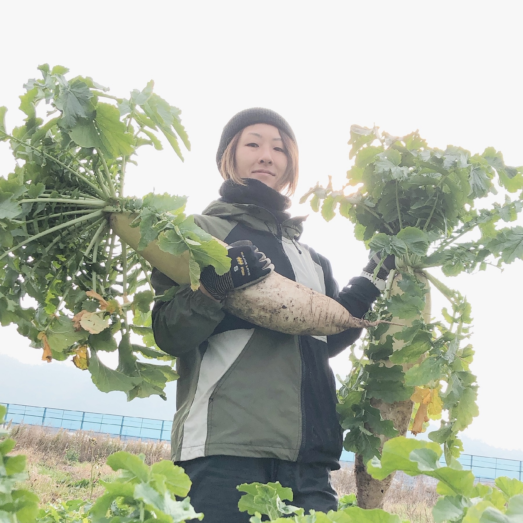乾さん