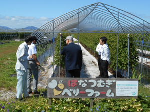 農場の様子