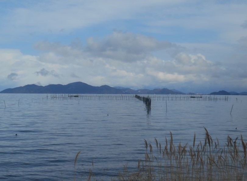 湖岸から見るエリの様子