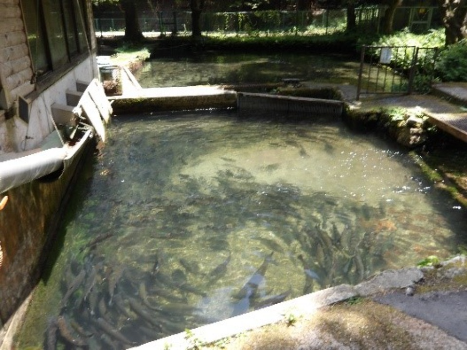 養殖池