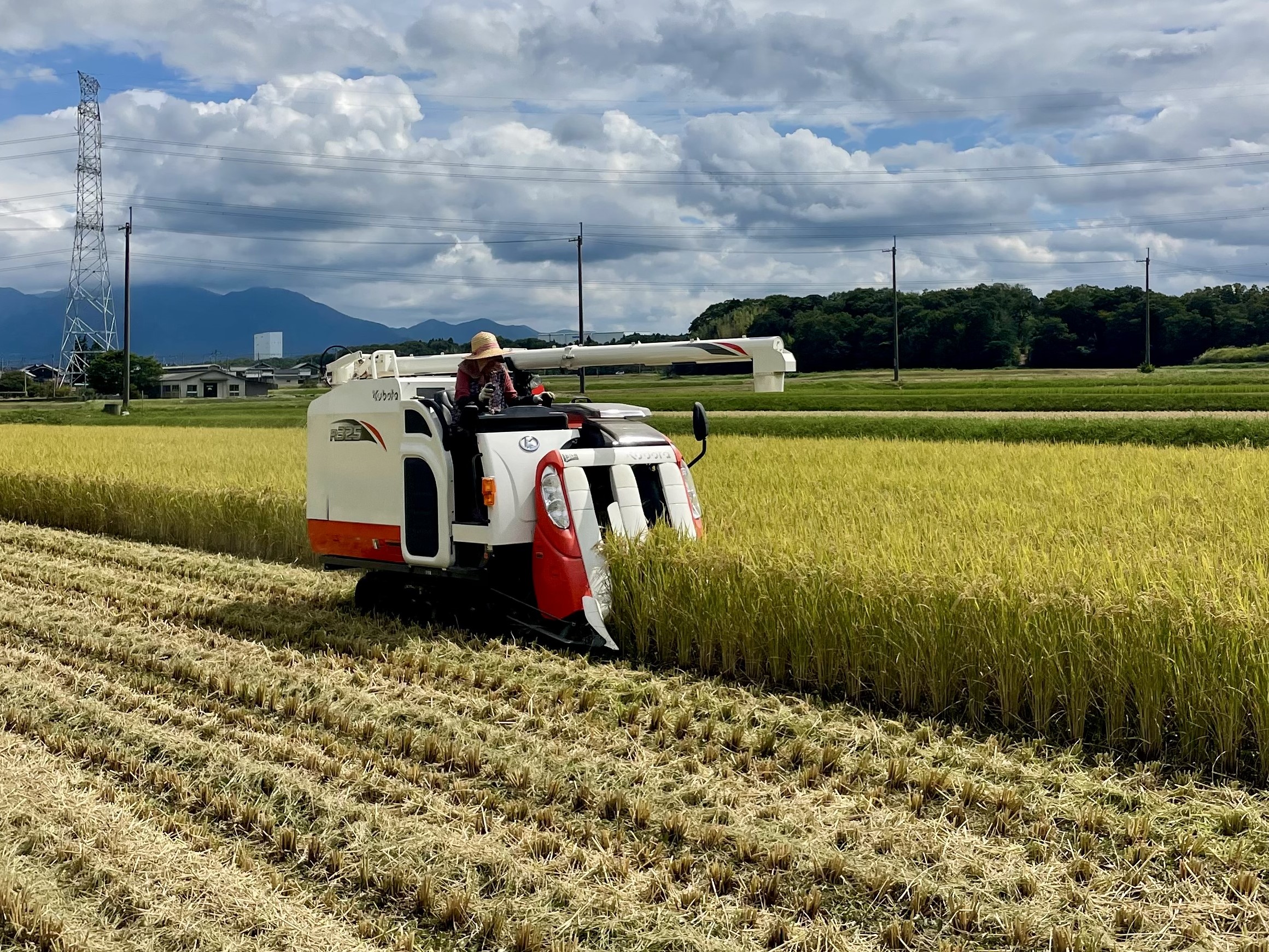 コンバインでの稲刈りの様子