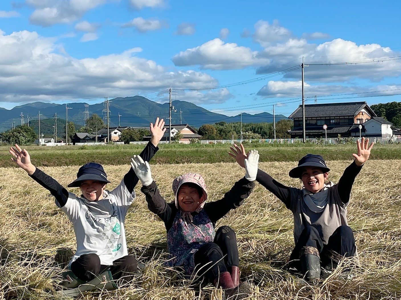 収穫後の圃場での様子