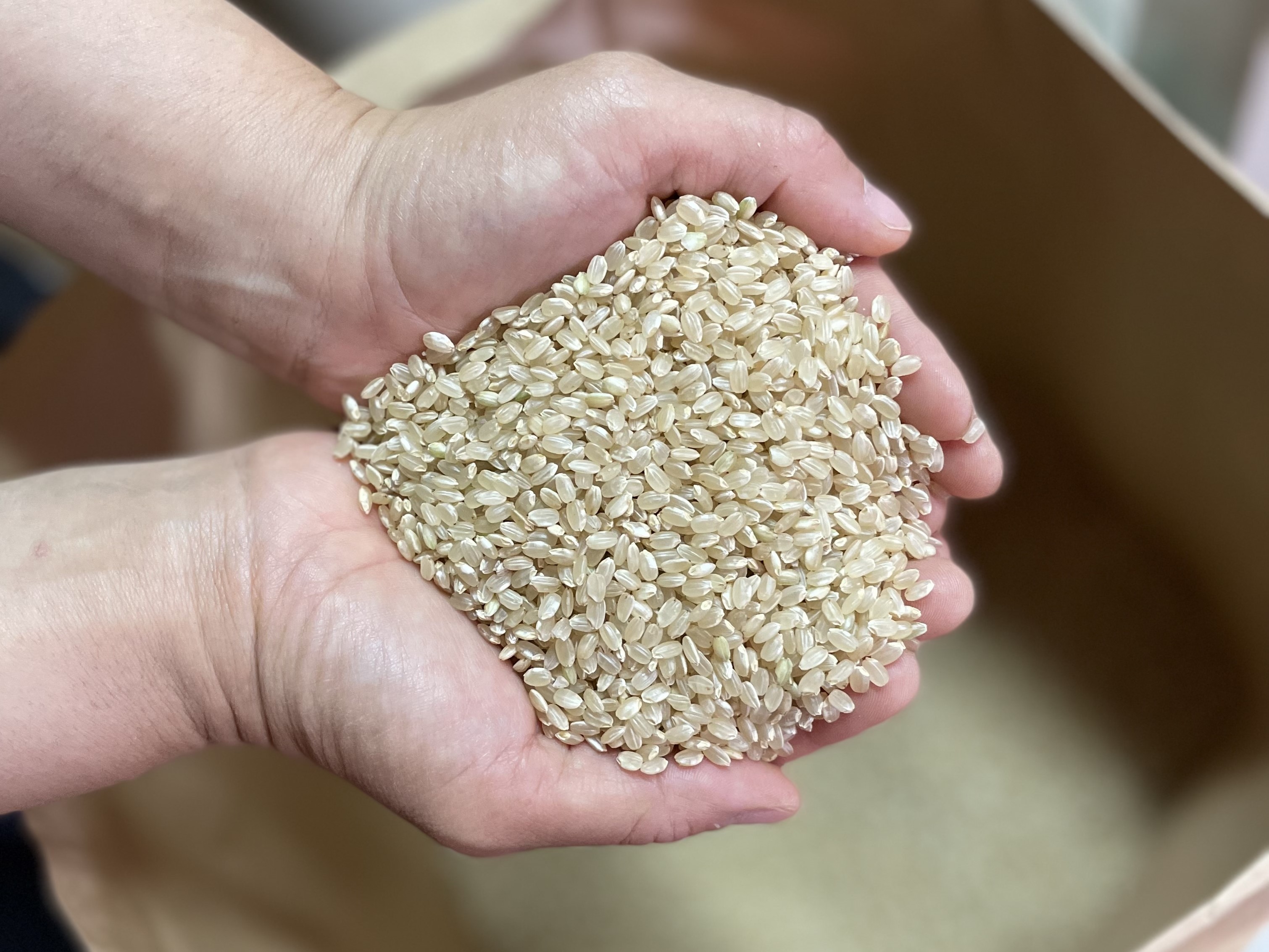 乾燥・調製後の玄米