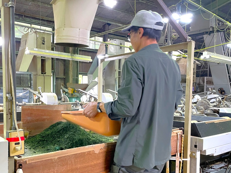 茶工場で作業をする小山さん