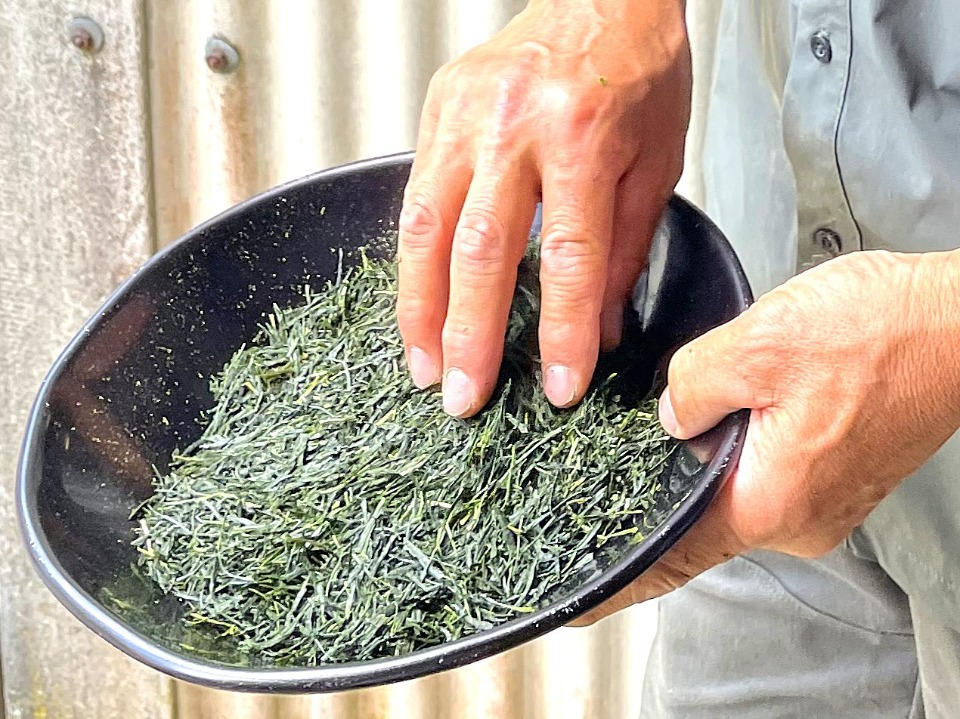 荒茶に加工されたできたての一番茶