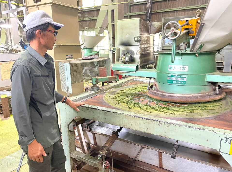揉捻機の茶葉の状態を入念に確認する小山さん