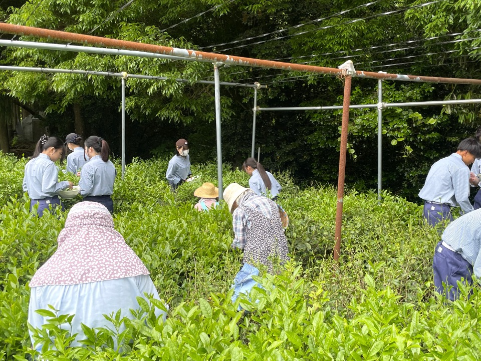地域の方も協力してくれています