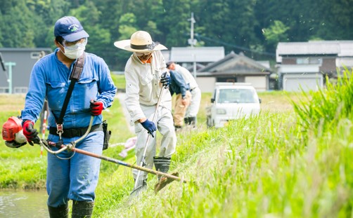 法面の草刈りの様子