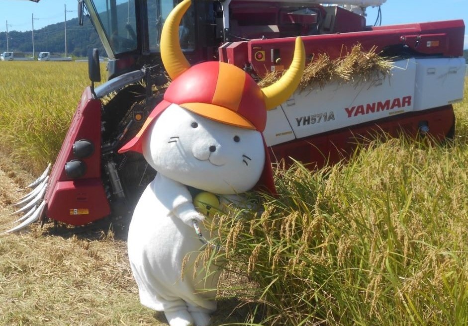 ひこにゃん米