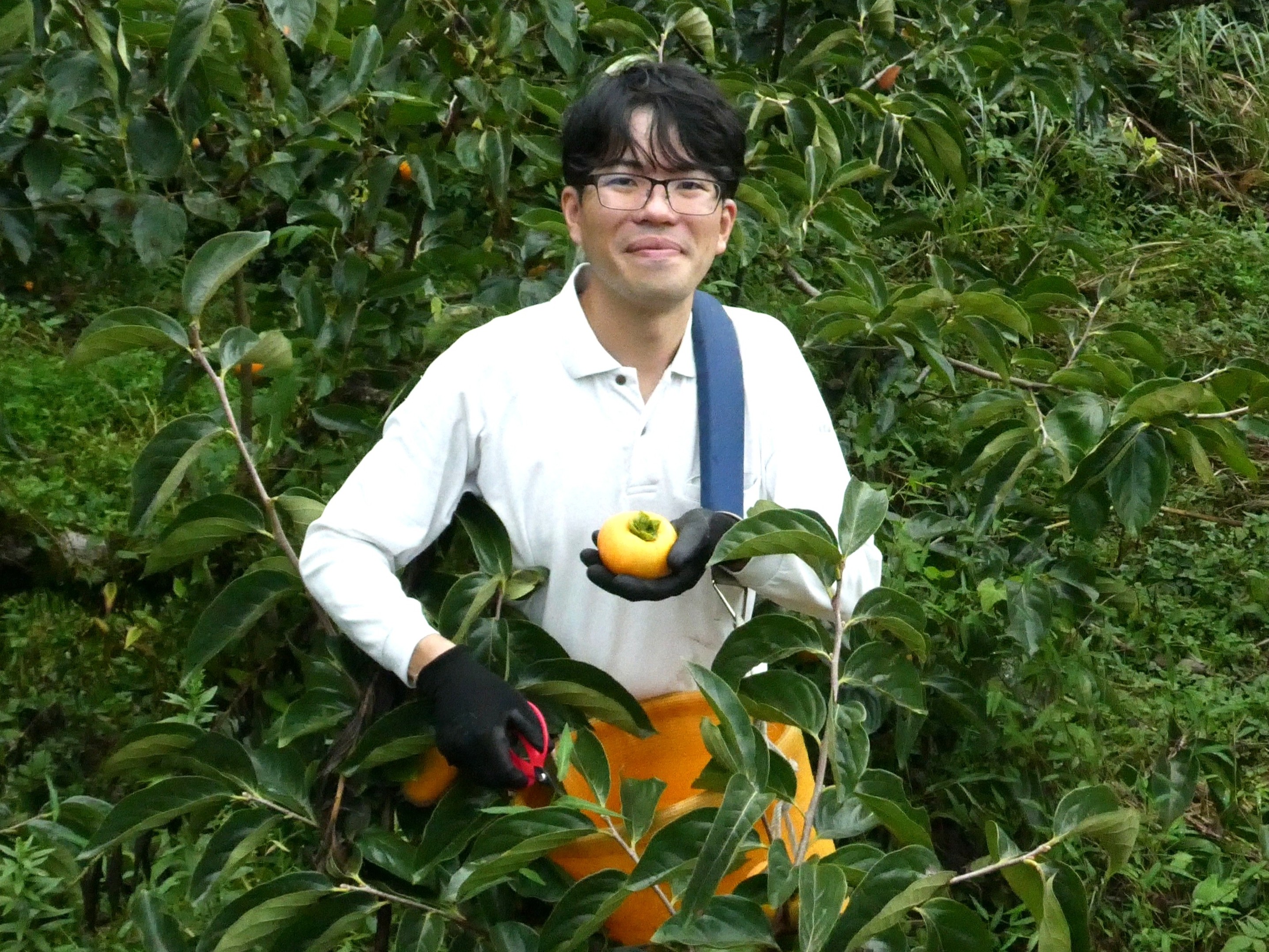 園地で柿を持つ笑顔の山中さん