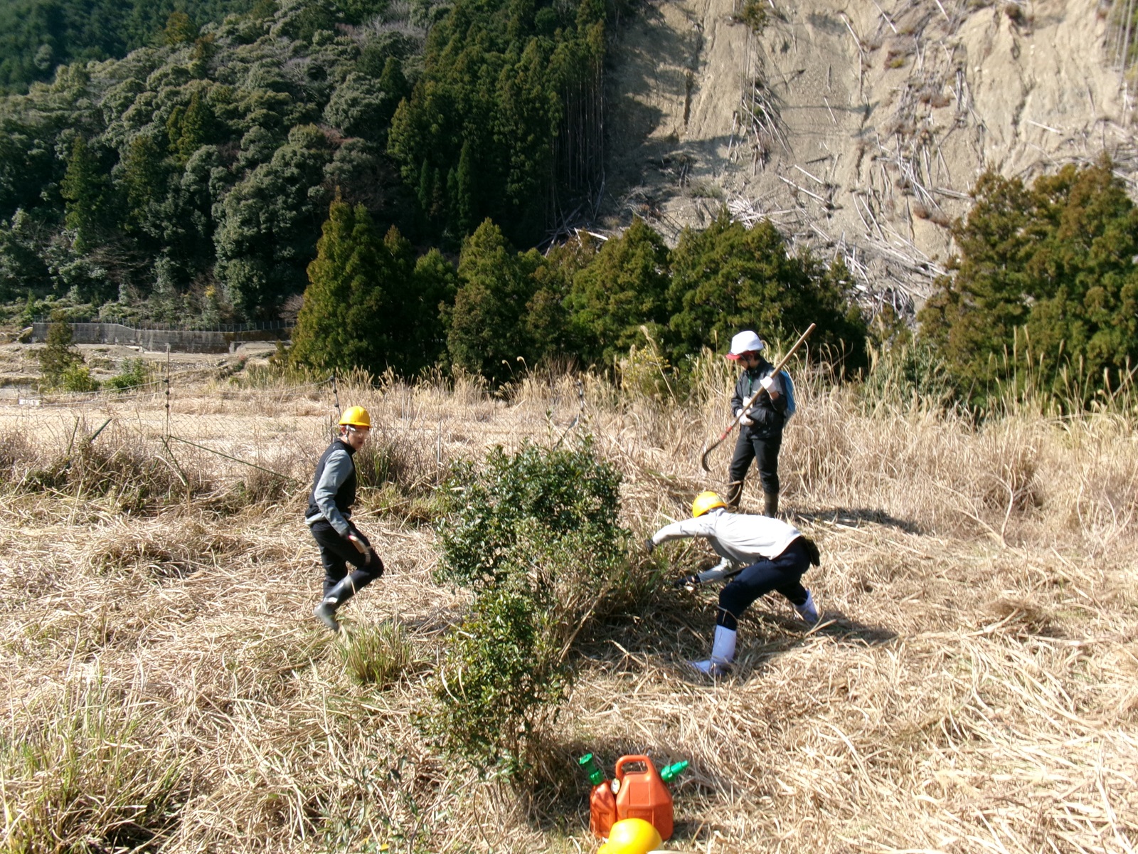 hokudai_13.jpg
