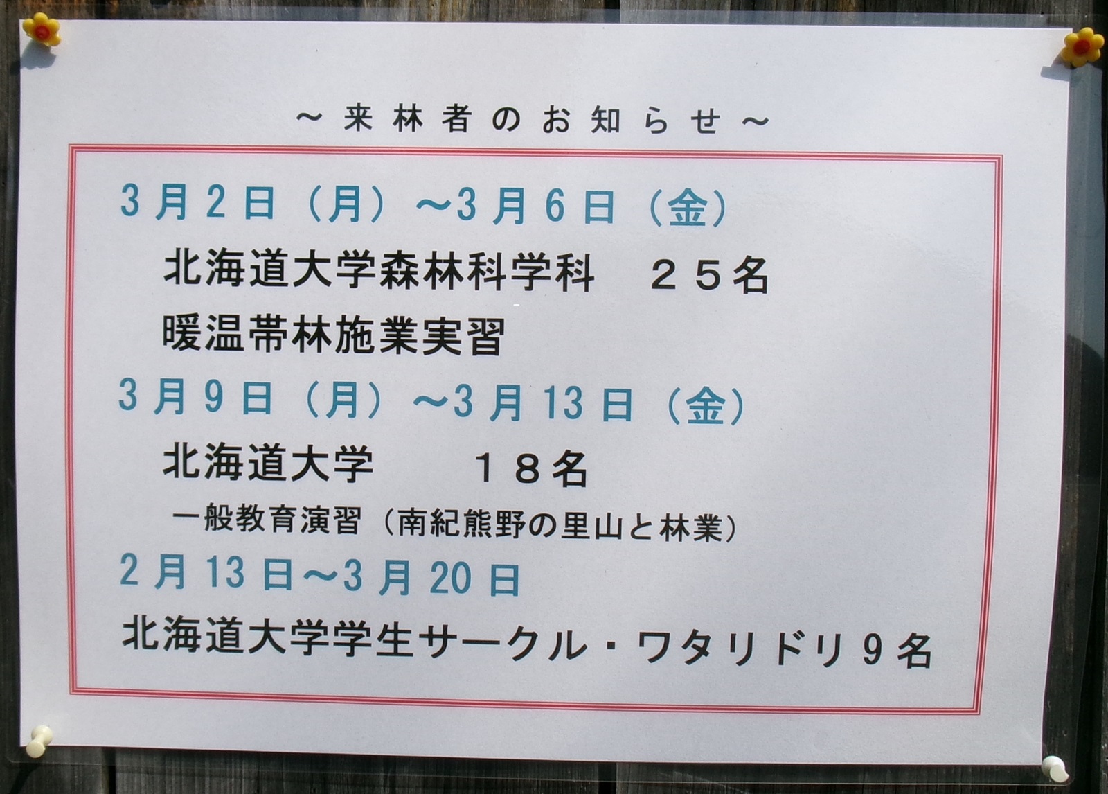 来林者のお知らせ告知