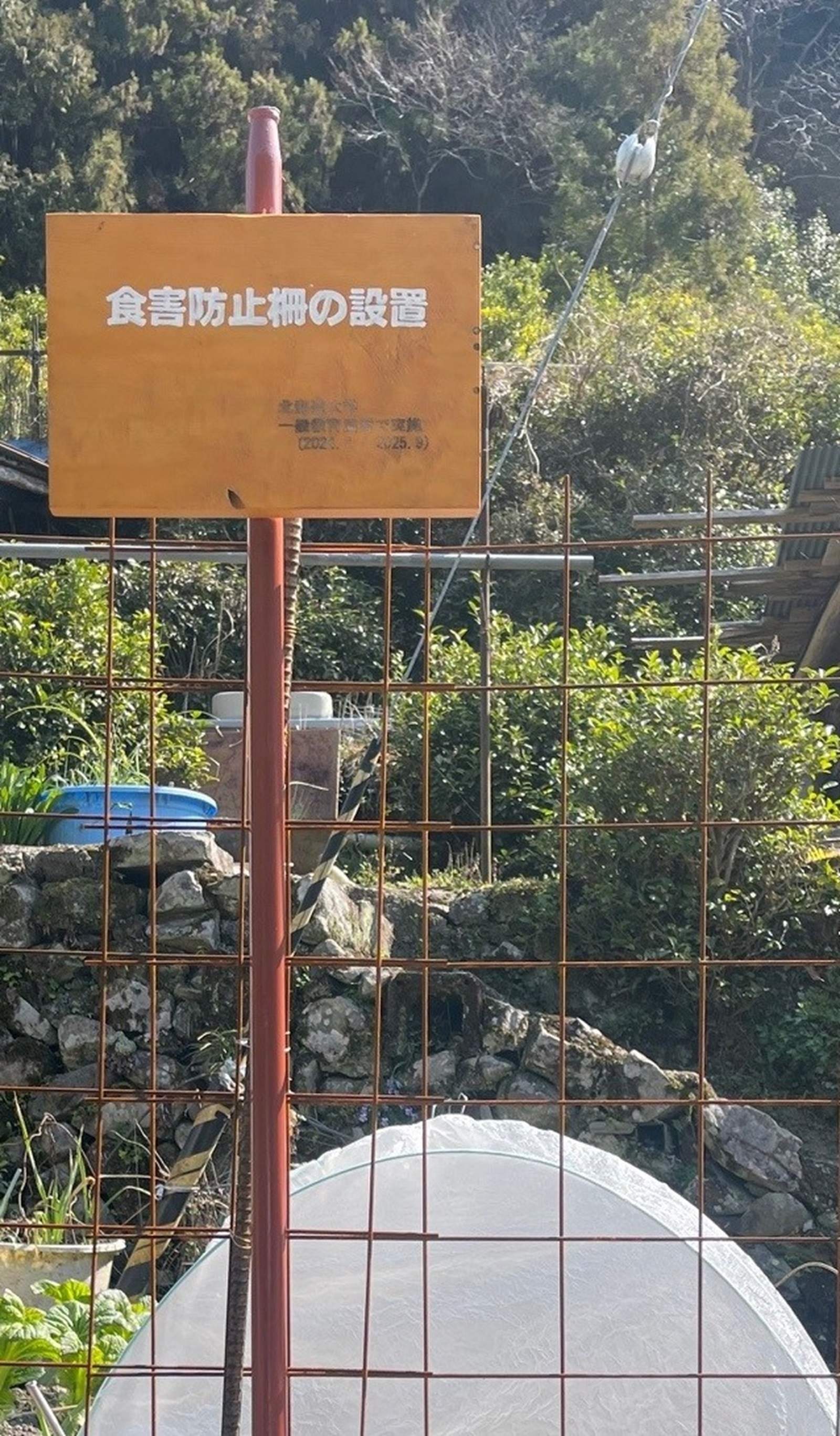 hokudai_8.jpg