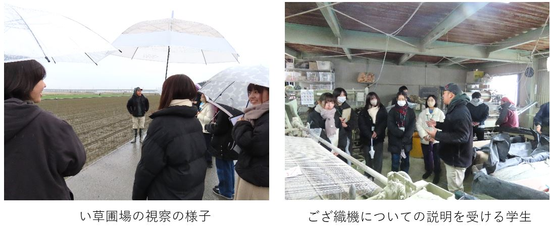 い草の見学