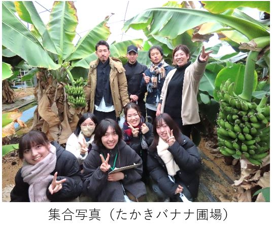 バナナ圃場の見学