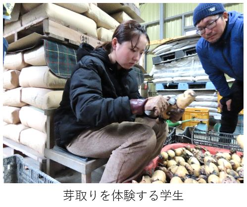 芽取りを体験する学生
