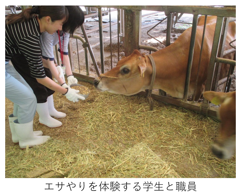 エサやり体験