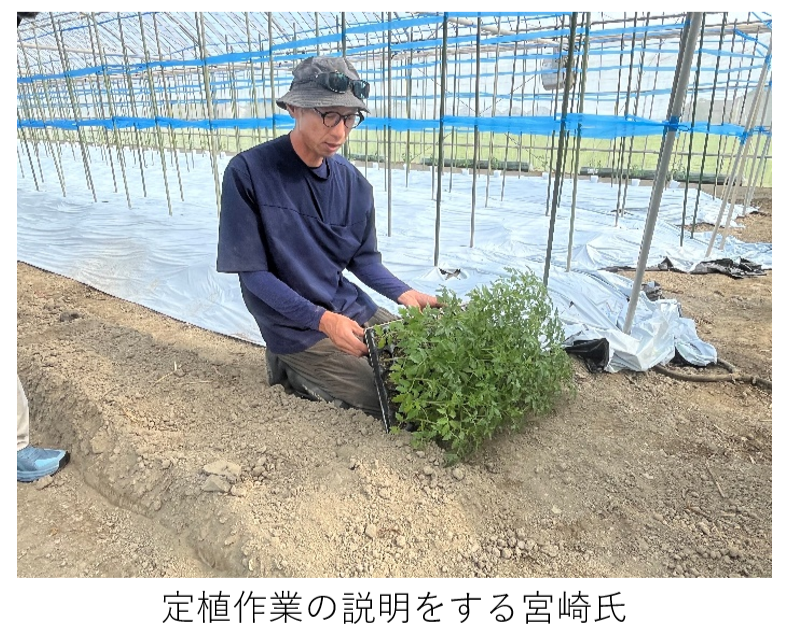 定植作業の説明をする宮崎氏