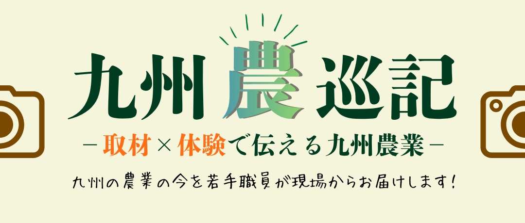 ホームページトプ画