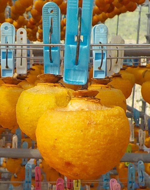 吊るし柿ズームイン