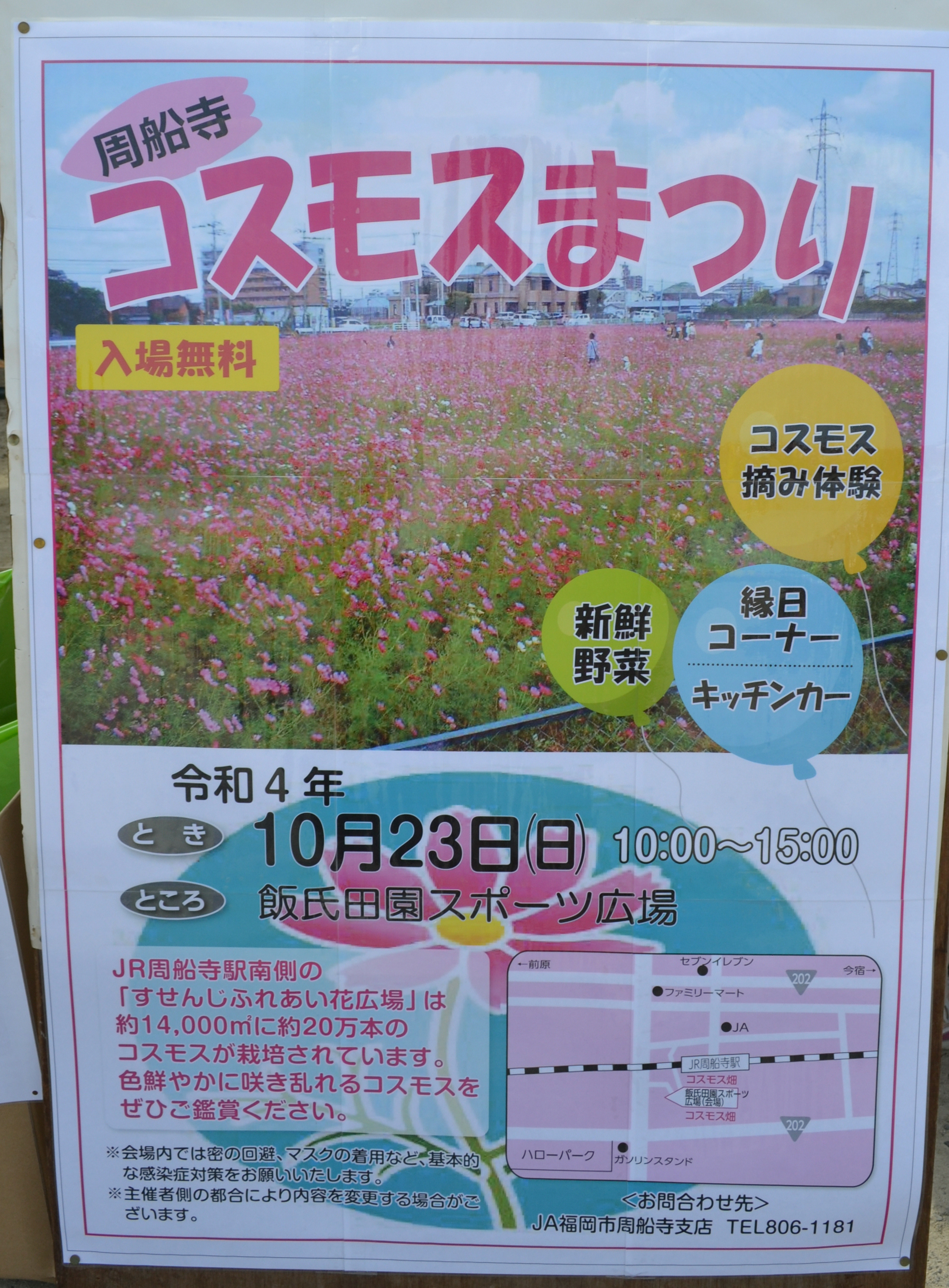 周船寺コスモスまつりの看板