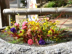 神社の手水鉢に浮かぶ切り花