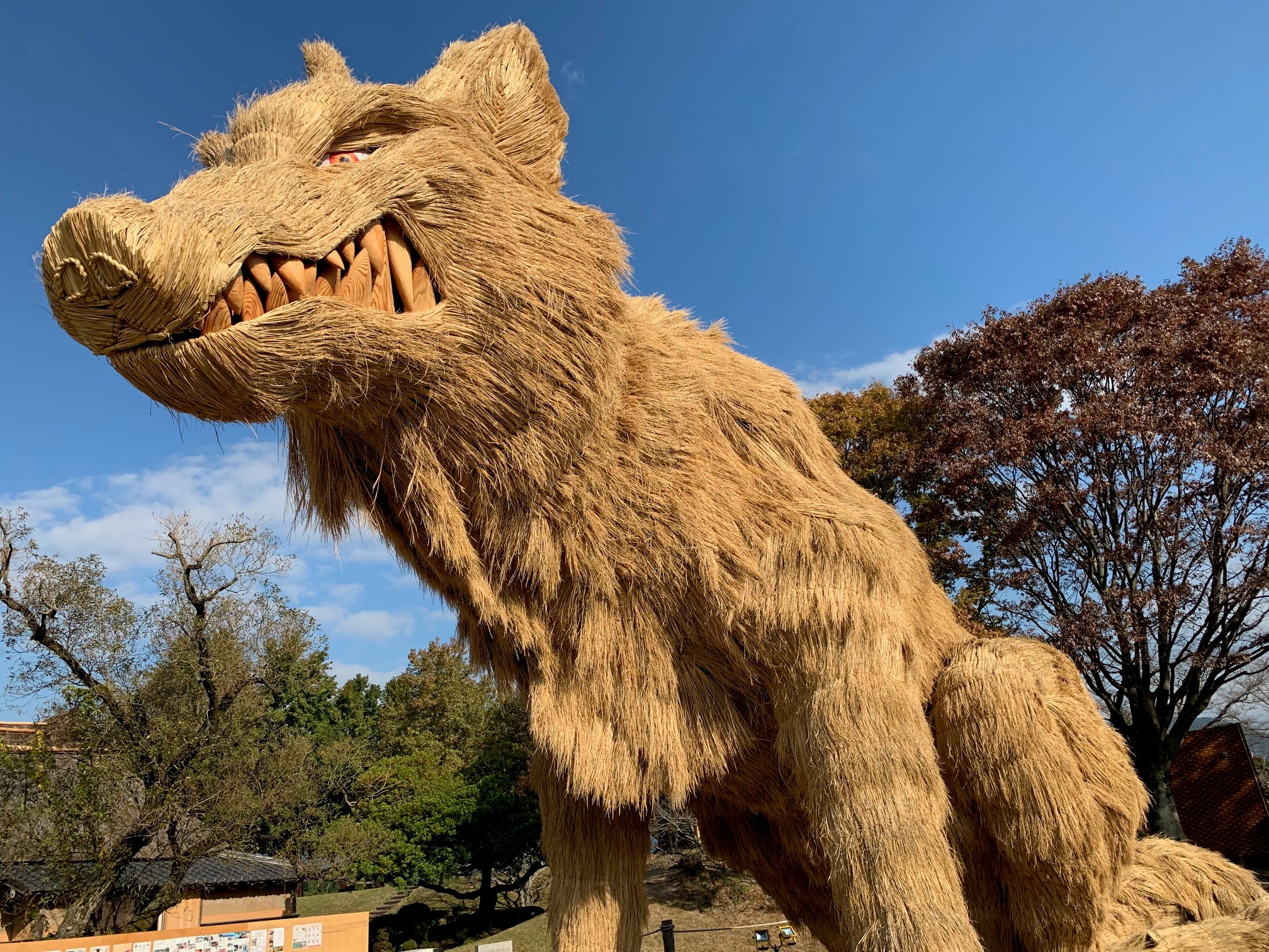 巨大わらかがし山犬の左側拡大