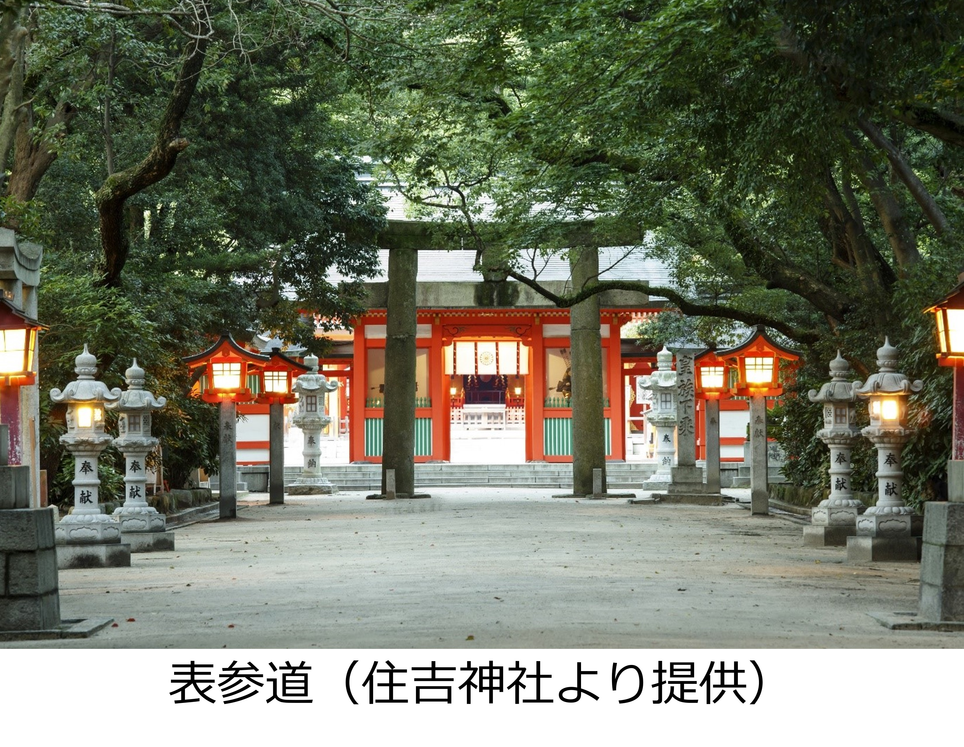 表参道（住吉神社より提供）